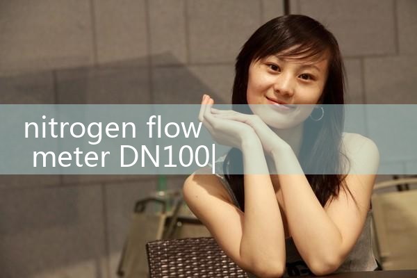 nitrogen flow meter DN100|flow meter distributor