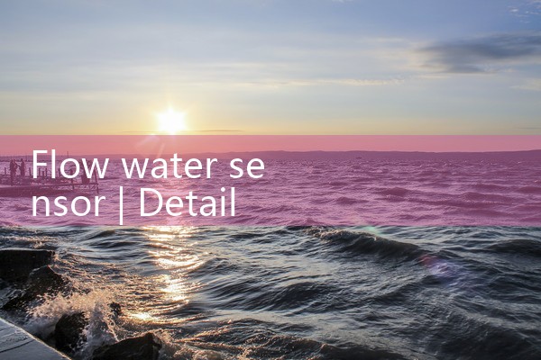 flow water sensor|thermal flow meter