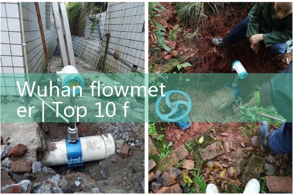 Wuhan flowmeter