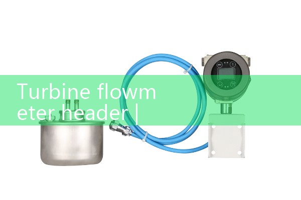 Mass flowmeter measures density
