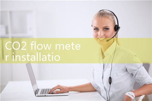 CO2 flow meter installation|thermal flow meter