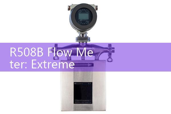 R508B Flow Meter: Extreme Pressure Management for Environmental Test Chambers
