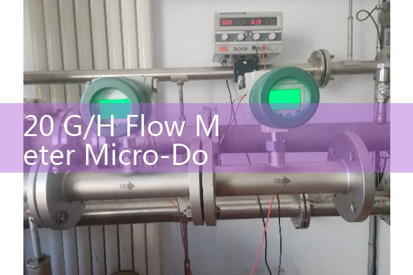 Float flowmeter