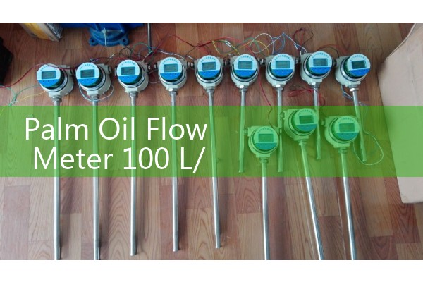 Palm Oil Flow Meter 100 L/h Small Line Diagnostic Benchmarks