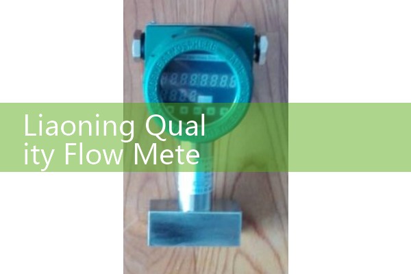 Selection of Liaoning Quality Flow Meter