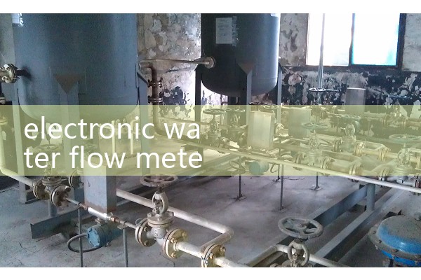 electronic water flow meter