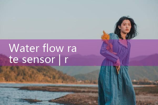 water flow rate sensor|rotameter flow meter