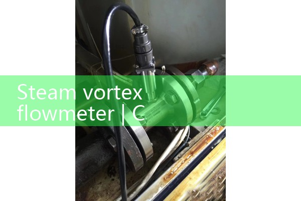 Steam vortex flowmeter