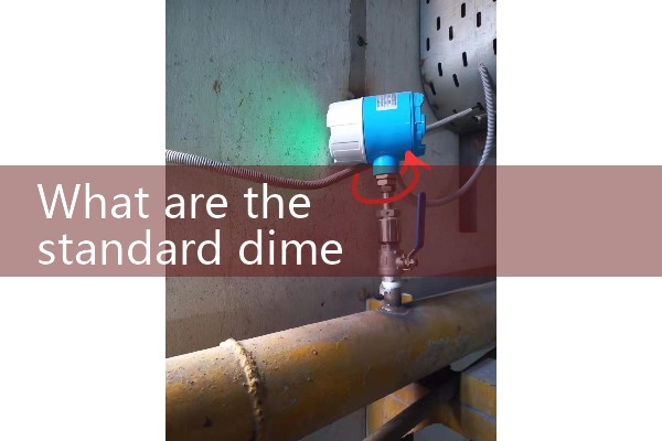 Standard vortex flowmeter