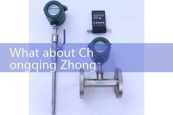 Integrated vortex flowmeter manufacturer