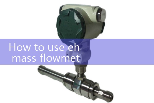 Macau High Temperature Mass Flow Meter