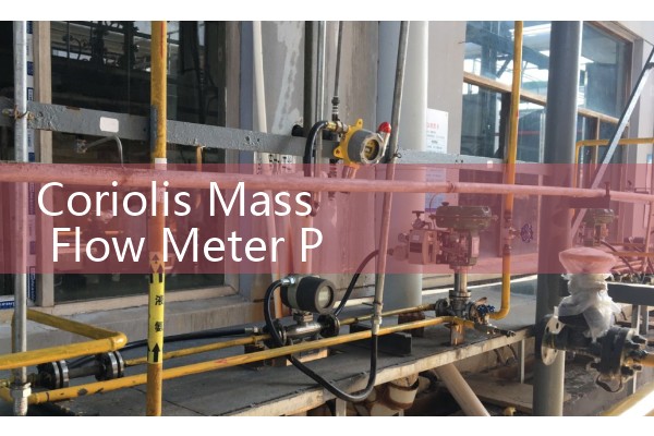 Coriolis Mass Flow Meter Price: Commercial procurement of mass measurement technology.