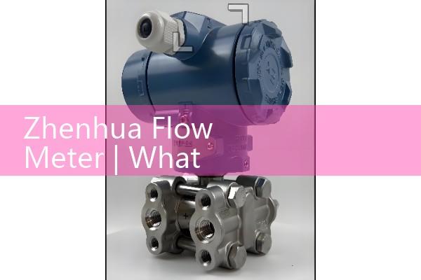 Zhenhua flowmeter