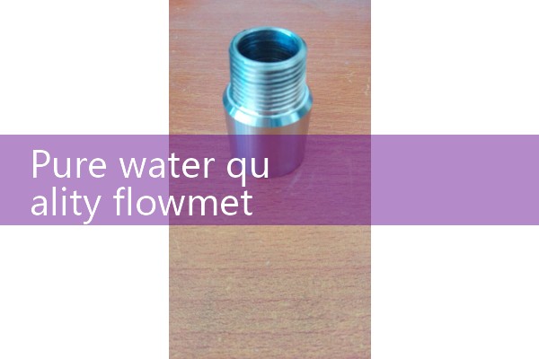 Pure water mass flowmeter