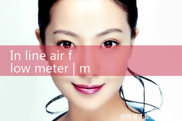 in line air flow meter|rotameter flow meter