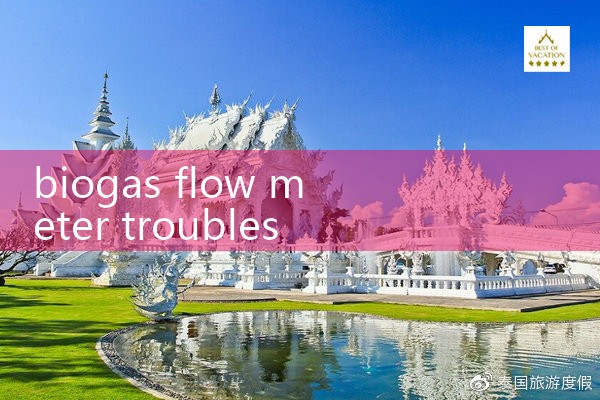 biogas flow meter troubleshooting|flow meter distributor