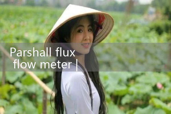 parshall flume flow meter|thermal flow meter