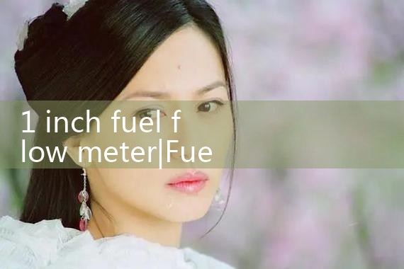 1 inch fuel flow meter|balo meter