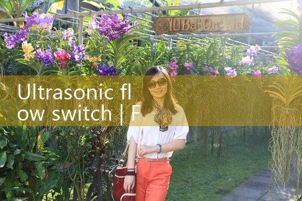 ultrasonic flow switch|mass flow meter