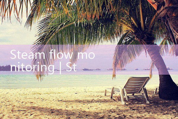 steam flow monitoring|balo meter