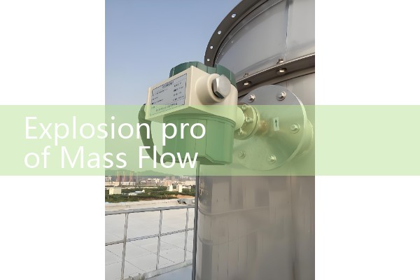 Explosion proof mass flowmeter