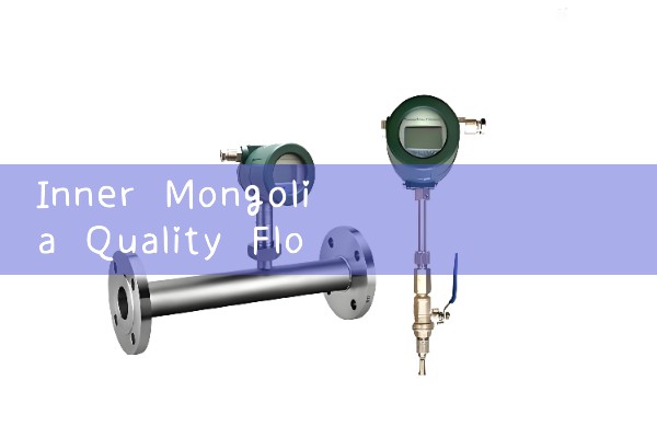 Inner Mongolia quality flowmeter sales manufacturer