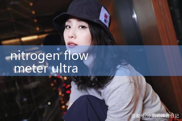 nitrogen flow meter ultra high purity|flow meter distributor