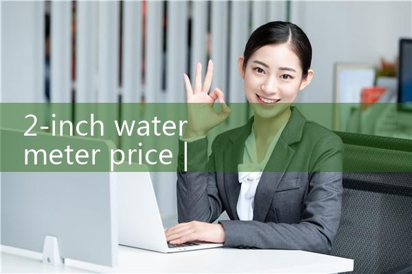 2 inch water meter price|rotameter flow meter