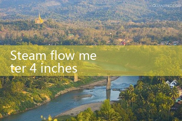 steam flow meter 4 inch|balo meter