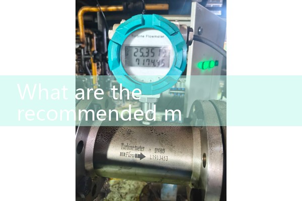 Parameters of Xizang mass flowmeter