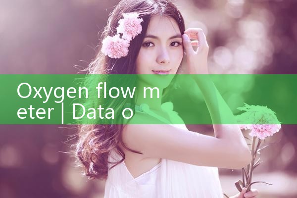 oxygen flow meter|thermal flow meter