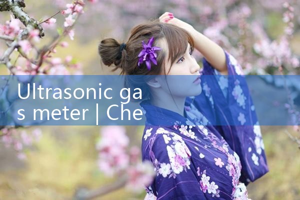 ultrasonic gas meter|thermal flow meter
