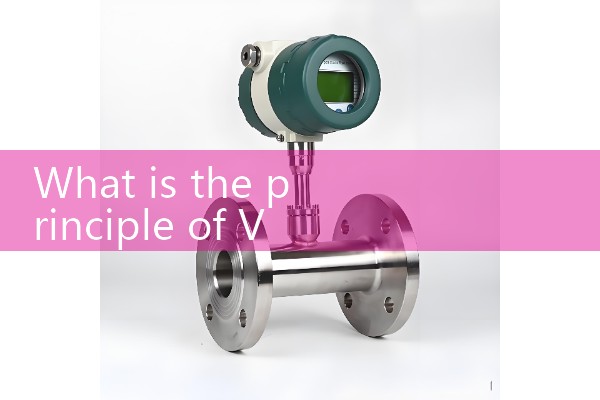 Plug in electromagnetic flowmeter