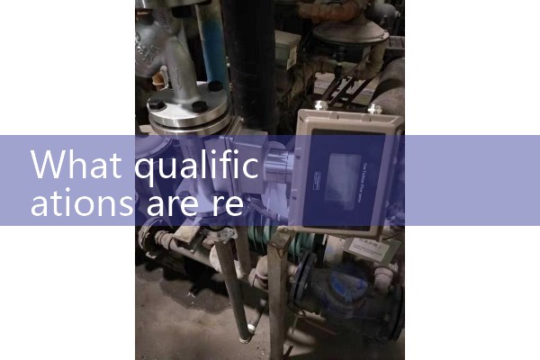 Manufacturer of metal tube float flowmeter