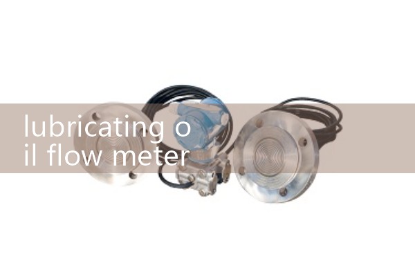 lubricating oil flow meter DN100