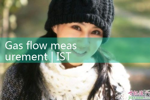 gas flow measurement|rotameter flow meter