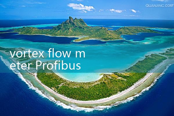 vortex flow meter Profibus|mass flow meter