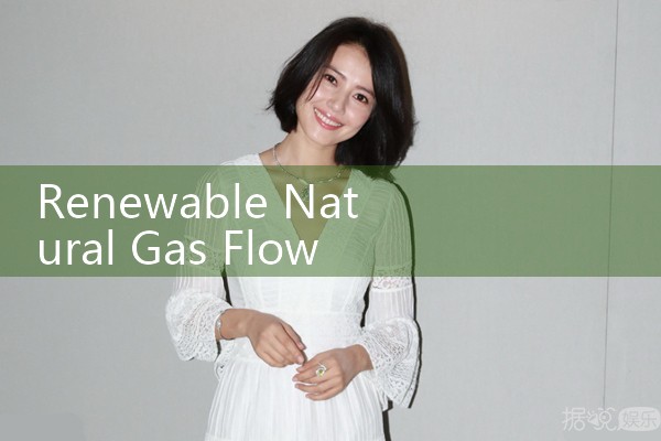 renewable natural gas flow meter|thermal flow meter