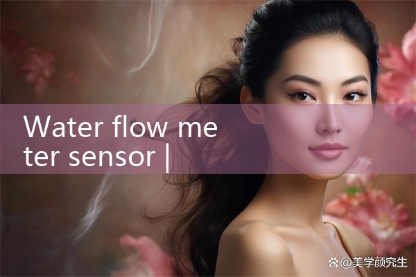 water flow meter sensor|rotameter flow meter