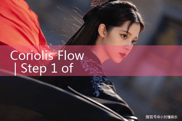 coriolis flow|rotameter flow meter