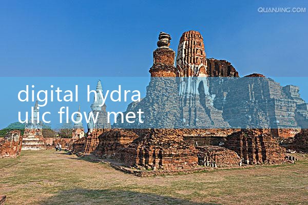 digital hydraulic flow meter|mass flow meter