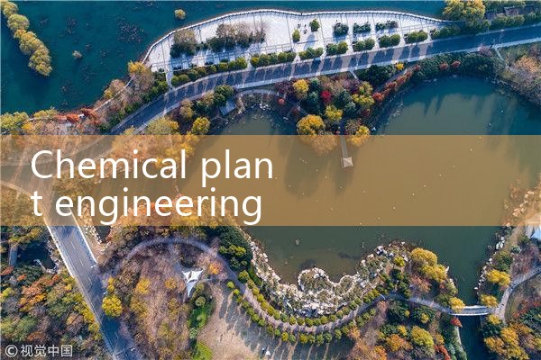 chemical plant engineering company|thermal flow meter