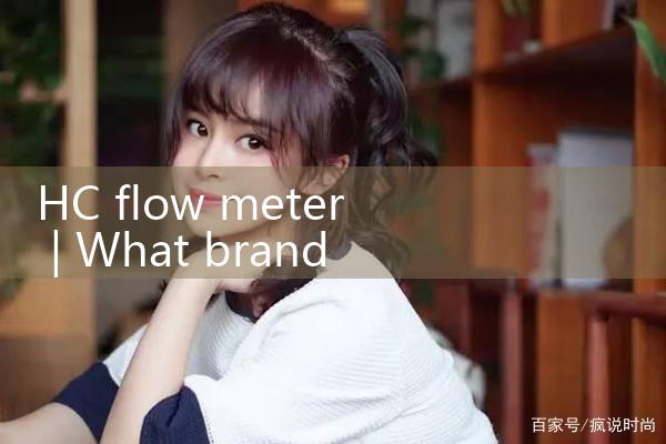 hc flow meter|rotameter flow meter