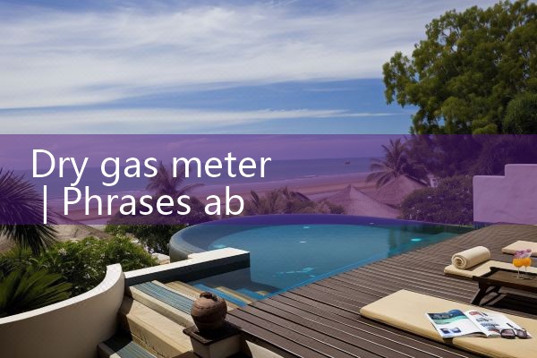 dry gas meter|rotameter flow meter
