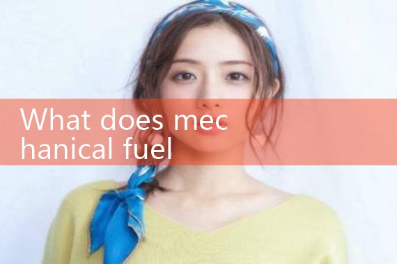 mechanical fuel meter|mass flow meter