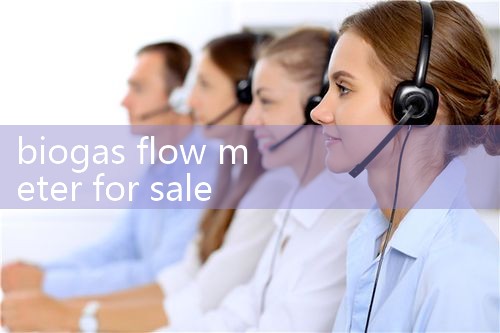 biogas flow meter for sale|flow meter distributor