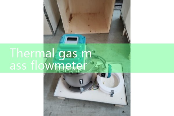 Thermal gas mass flowmeter