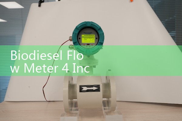 Biodiesel Flow Meter 4 Inch Processing Facility Intake Standards