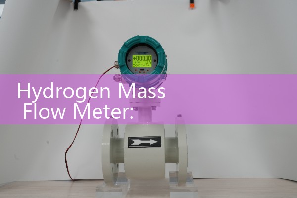 Hydrogen Mass Flow Meter: High Precision Sourcing for Green Energy Grids