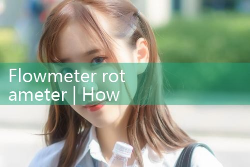 flowmeter rotameter|thermal flow meter